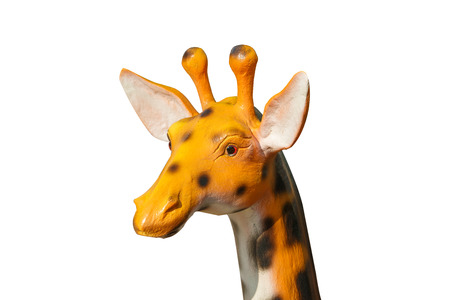 Head giraffe on white background isolatedの写真素材