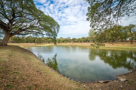 View of pond with huge trees with the reflection.の写真素材