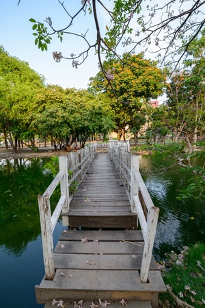 Beautiful view of the white wooden bridge across the canal with fallen Pink Panthip flowers in Bangkok, Thailand.の写真素材