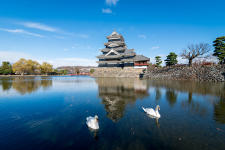 Reflection of Matsumoto castle with swans in Matsumoto, Nagano, Japan.のeditorial素材