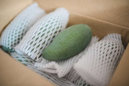 Pack of green mangoes with the foam mesh in the box for logisticの写真素材