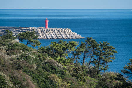 An isolated red lighthouse located in Jeju island of South Korea with a beautiful green pine trees and turquoise sea.の写真素材