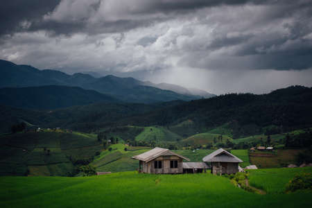 The beautiful scenery of the green terraced rice field of Bong Piang forest village in the rainy season in Mae Chaem, Chiang Mai, Thailand.の写真素材