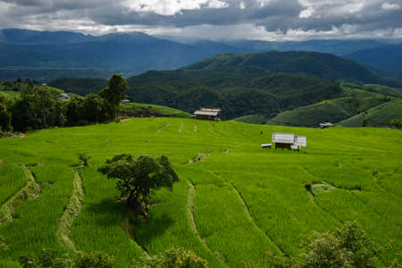 The beautiful scenery of the green terraced rice field of Bong Piang forest village in the rainy season in Mae Chaem, Chiang Mai, Thailand.の写真素材