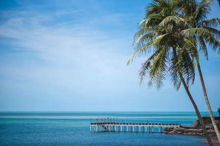 The beautiful scenery of tropical wooden bridge in the sea with a coconut palm tree in Khanom, Nakhon Si Thammarat, Thailand.の写真素材