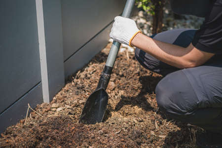 An Asian male shoveling in the backyard.の写真素材