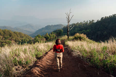A woman in a red long-sleeve with a white hat walks on golden dry grasslands at Hadubi, Chiang Mai, Thailand.の写真素材