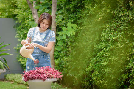 An Asian woman is watering plants in the garden.の写真素材