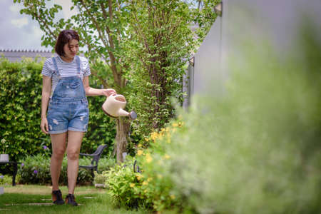 An Asian woman is watering plants in the garden.の写真素材