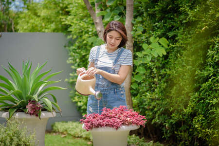 An Asian woman is watering plants in the garden.の写真素材