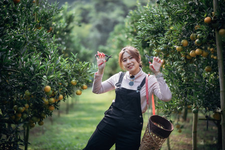 A happy woman farmer is working in orchard or orange farm.