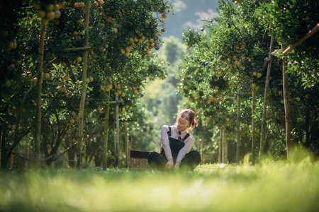 A happy woman farmer is resting in orchard or orange farm.の写真素材