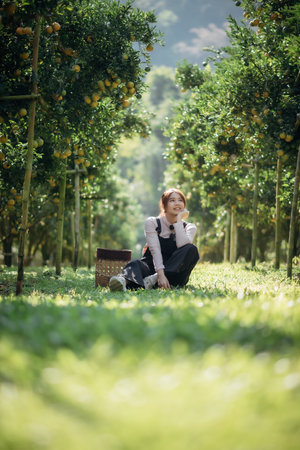 A happy woman farmer is resting in orchard or orange farm.の写真素材
