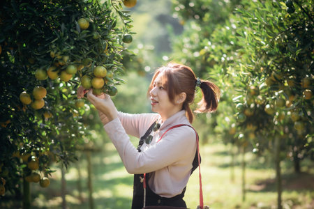A happy woman farmer is working in orchard or orange farm.の写真素材