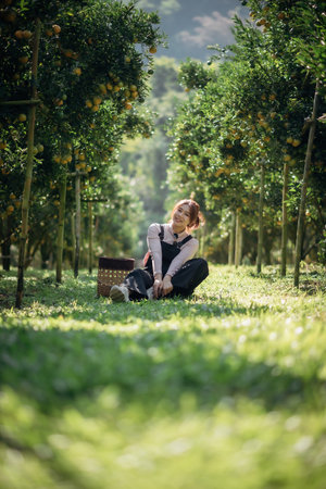 A happy woman farmer is resting in orchard or orange farm.の写真素材