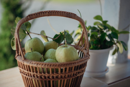 A basket of ripe guavas, a tropical fruit with a sweet aroma.の写真素材