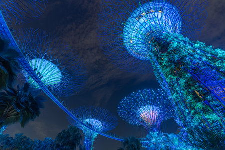 Experience a breathtaking view of vibrant luminescent trees illuminated in blue, creating a magical atmosphere in this enchanting garden landscape.の写真素材