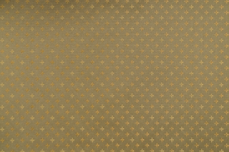 High resolution floral pattern on the fabric in the Victorian styleの写真素材