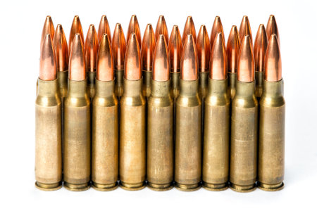 Group several rifle cartridges with reflections