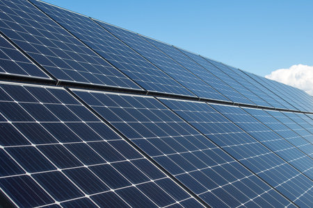 Photovoltaic cells on the background or solar panels