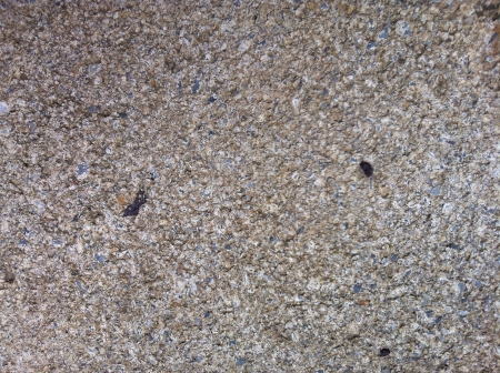 Cement floor backgroundの素材