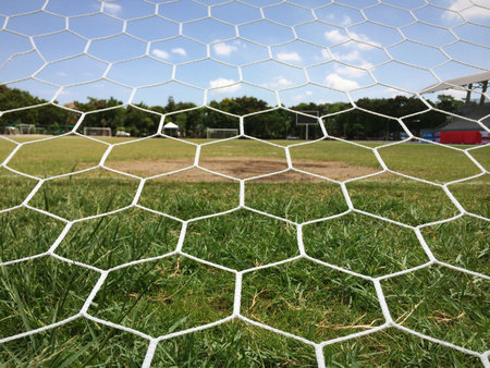 Soccer football field