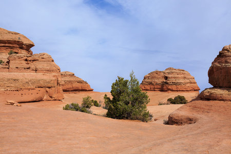 Wide open desert space with abundant spring greenery with blue sky and red mountains in distance