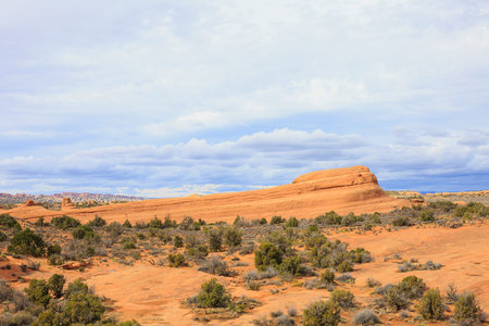 Wide open desert space with abundant spring greenery with blue sky and red mountains in distance