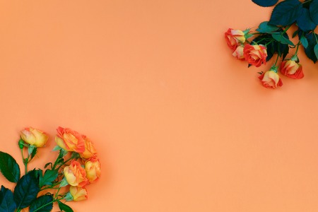 Background of a bouquet of beautiful fresh vivid orange roses tinged with red for celebrating Valentine's, an anniversary, birthday or Mothers Day and free space for text on orange backgroundの写真素材