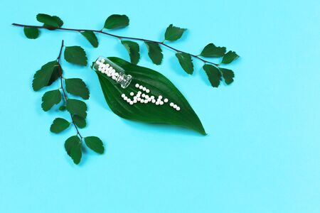 Bottle with homeopathic pills and green plant leaves on blue background. Homeopathy, naturopathy and alternative herbal medicine.の写真素材