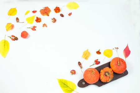 Pumpkins and dried leaves on white background. Autumn, fall,