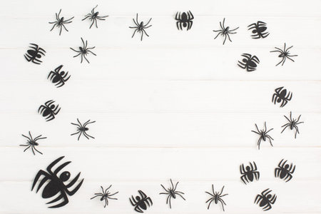 Halloween decorations with spiders on white background.