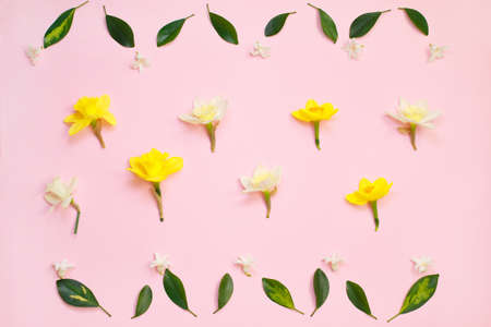 Spring composition made with daffodil flowers and green leavesの写真素材