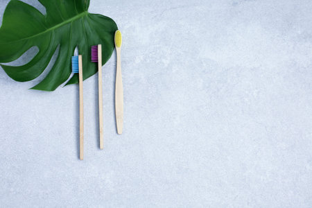 Bamboo toothbrushes and green leaf on stone table