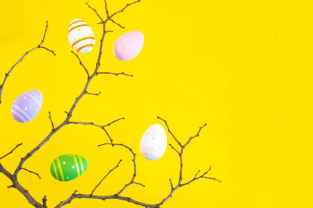 Branch of tree and colorful Easter eggs on a yellow background.の写真素材