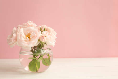 Tender light garden roses in a transparent vase on pink pastel background.の写真素材