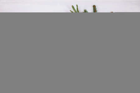 Christmas Table Setting with fir branch and red decorations on white backgroundの写真素材