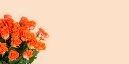 Bouquet of orange roses and empty space for your text. Selective focus. Bannerの写真素材