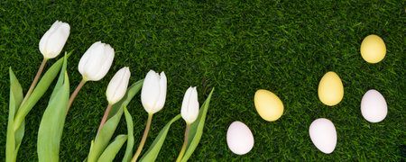 Easter color eggs with bouquet of tulips on green grass.の写真素材