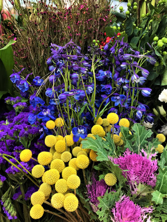 Flowers blooming together in bright colors, London UK.の写真素材