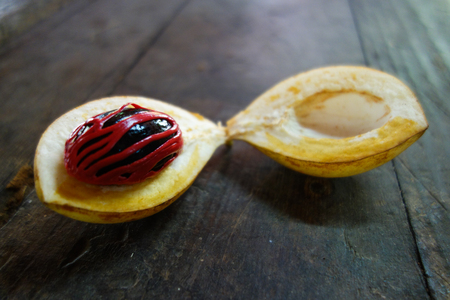 Nutmeg raw at the island of Grenadaの写真素材