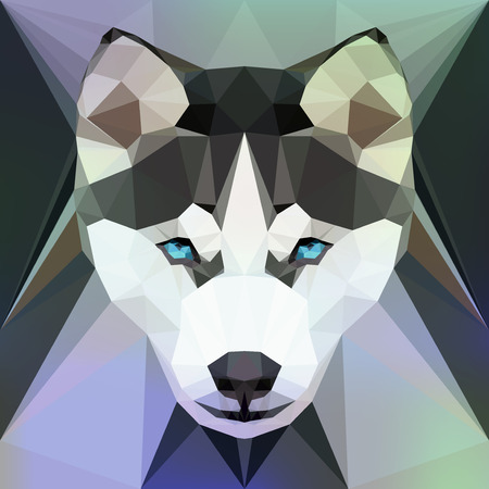 Vector illustration - Face of a Husky dogのイラスト素材
