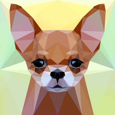 Vector illustration - Face of a chihuahua dogのイラスト素材