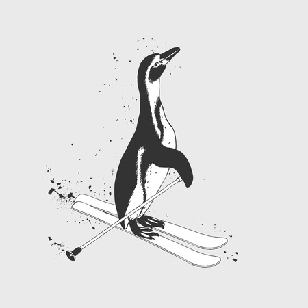 skier Penguinのイラスト素材