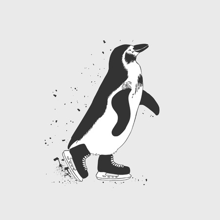 penguin skaterのイラスト素材