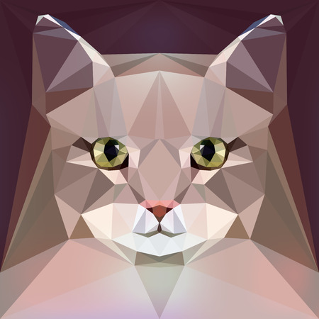 Face of a Siberian catのイラスト素材