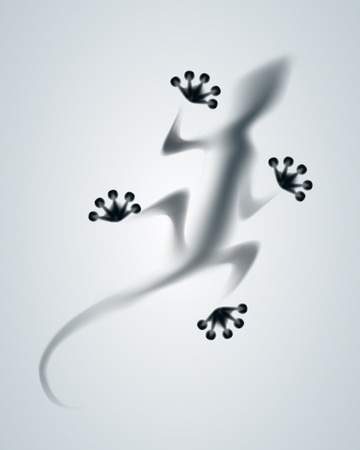 Vector diffuse lizard silhouetteのイラスト素材