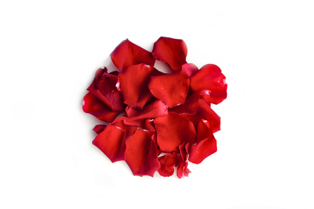 Red rose petals circle on white background. Japanese flag.の写真素材