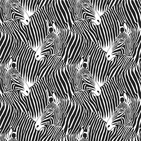 Zebras vector black and white nature  seamless pattern.のイラスト素材