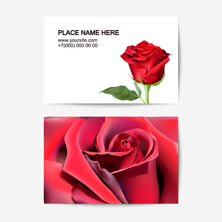 visiting card vector template with red roseのイラスト素材